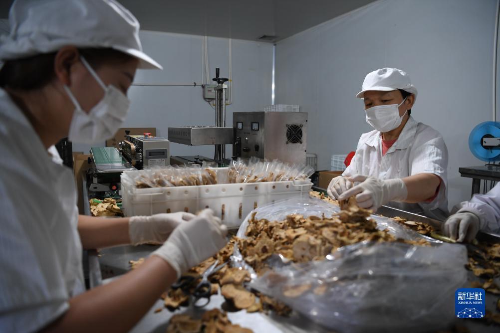 新濠天地线上平台