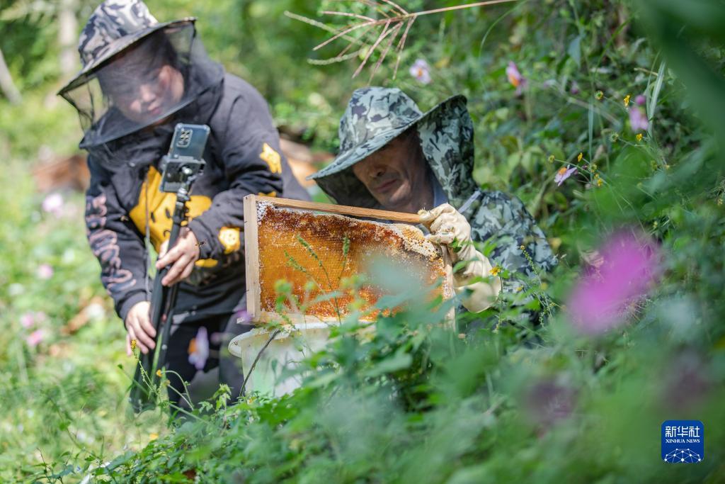 免费彩金彩票平台